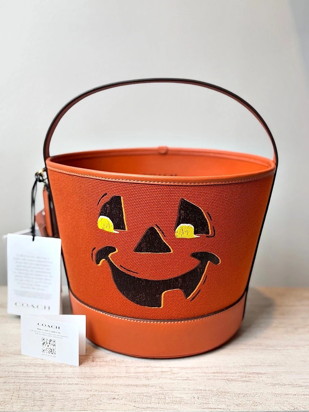 Coach Halloween Pumpkin Bucket Bag Trick Or Treat NWT